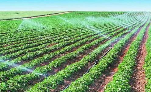 大几把操视频农田高 效节水灌溉